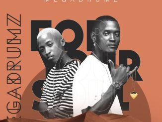Megadrumz For Your Soul Album Download
