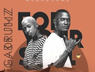 Megadrumz Forever Mp3 Download
