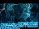 Mr Thela Thunder Storm Mp3 Download