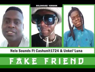 Nelo Sounds Fake Friend Mp3 Download