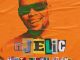 Njelic Izinto Zimane Zijike Mp3 Download