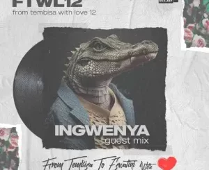 Noxious DJ From Tembisa 2 Eswatini With Love Mp3 Download