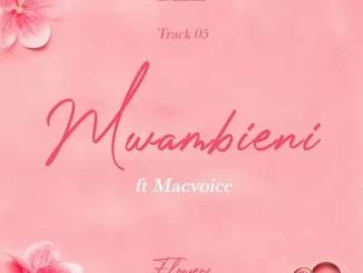 Rayvanny Mwambieni Mp3 Download