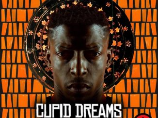 Shona SA Cupid Dreams Album Download