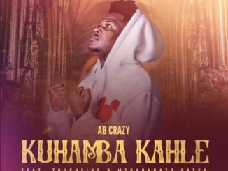 AB Crazy Kuhamba Kahle Mp3 Download