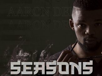 Aaron DeMac Seasons Album Download