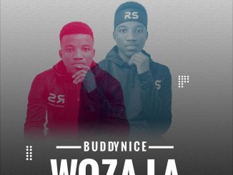 Buddynice Woza La Mp3 Download