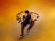 CaseKlowzed Mxed Emotions II EP Download