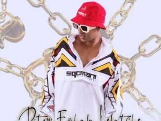 DJ Ace Pitori Ephala Lefatshe Mp3 Download
