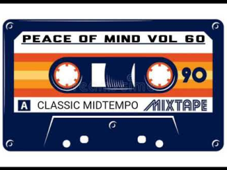 DJ Ace Peace of Mind Vol 60 Mix Download