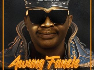 DJ Bongz Awung’Fanele Mp3 Download