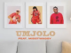 DJ Jawz Umjolo Mp3 Download
