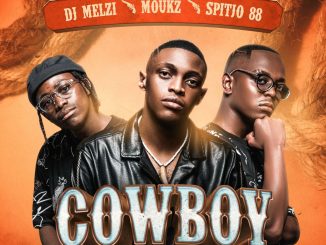 DJ Melzi Cowboy Album Download