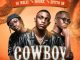 DJ Melzi Cowboy V Mp3 Download