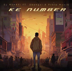 DJ Mshayi Ke Number Mp3 Download