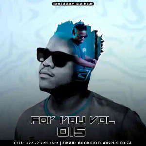 DJ Tears PLK For You Vol.15 Mix Download