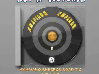 DJy H-LectorSA Amapiano Emperor Road To 70k Subs Download