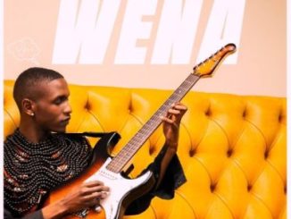 Don De Guitarist WENA Mp3 Download