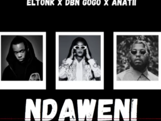 Eltonk Ndaweni Mp3 Download