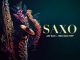 Jay Sax Saxo Mp3 Download