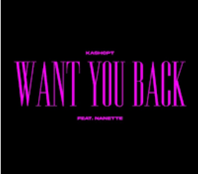 KashCPT Want You Back Mp3 Download