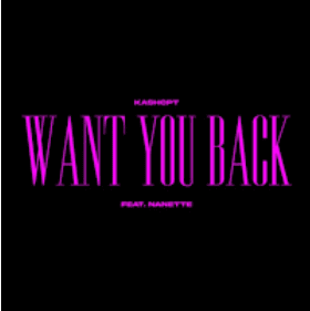 KashCPT Want You Back Mp3 Download