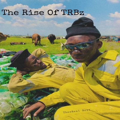 TheeReal Boyz The Rise Mp3 Download