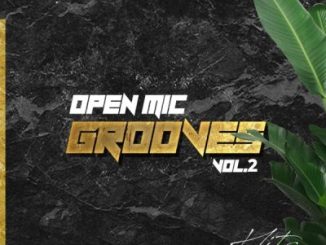Various Artists Open Mic Grooves Vol. 2 Album Download