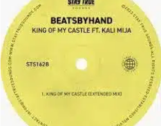 beatsbyhand King Of My Castle Mp3 Download