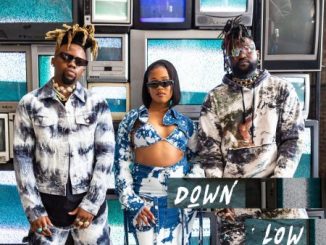 Bantu Down Low Mp3 Download