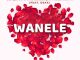 Blaqnick Wanele Mp3 Download