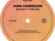 China Charmeleon Invisible Mp3 Download