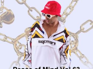 DJ Ace Peace of Mind Vol 63 Mp3 Download