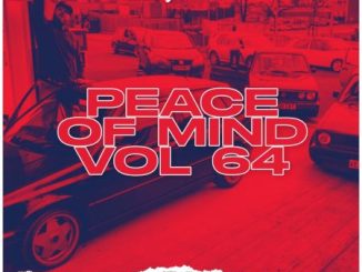 DJ Ace Peace of Mind Vol 64 Mix Download