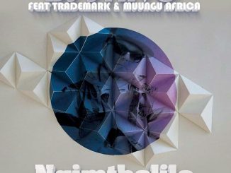 DJ Stavo Ngimtholile Mp3 Download