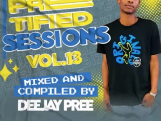 Deejay Pree Preetified Sessions Vol. 13 Mp3 Download