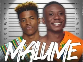 Elvirgo Malume 2.0 Mp3 Download