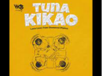 Lava Lava Tuna Kikao Mp3 Download