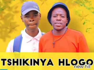 Nkgetheng The DJ Tshikinya Hlogo Mp3 Download