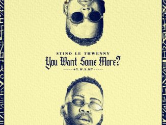 Stino Le Thwenny Dikeledi Mp3 Download