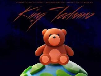 Swarray Hill$ King Techano EP Download