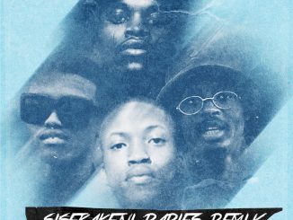 Sykes Sisekakeni Babies Remix Mp3 Download