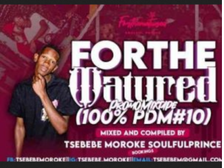 Tsebebe Moroke For The Matured Promo Mixtape Download