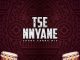 Afrikan Roots Tse Nyane Instrumental Mp3 Download