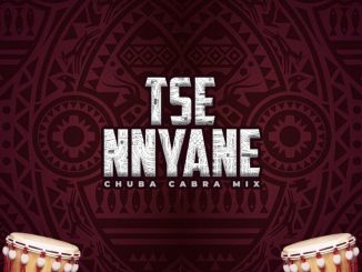 Afrikan Roots Tse Nyane Remixes EP Download