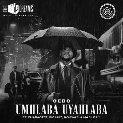 Cebo Umhlaba Uyahlaba Mp3 Download