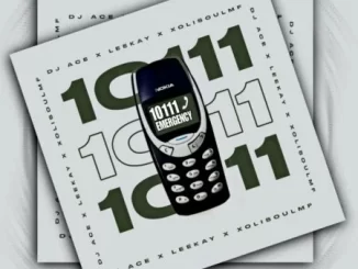 DJ Ace 10111 Emergency Call Mp3 Download