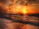 DJ Benny Sunset Mp3 Download