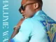 DJ Tira Ukholo Mp3 Download