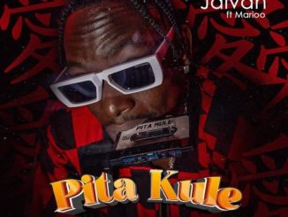 Jaivah Pita Kule Mp3 Download